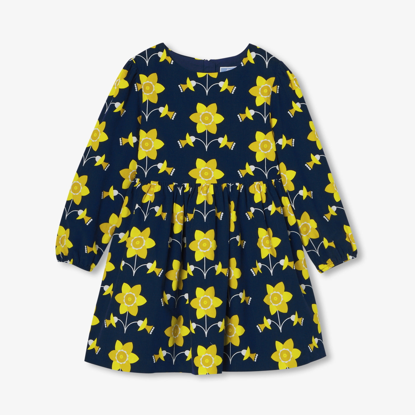 Girl dress in milleraies velvet - bleu/multico