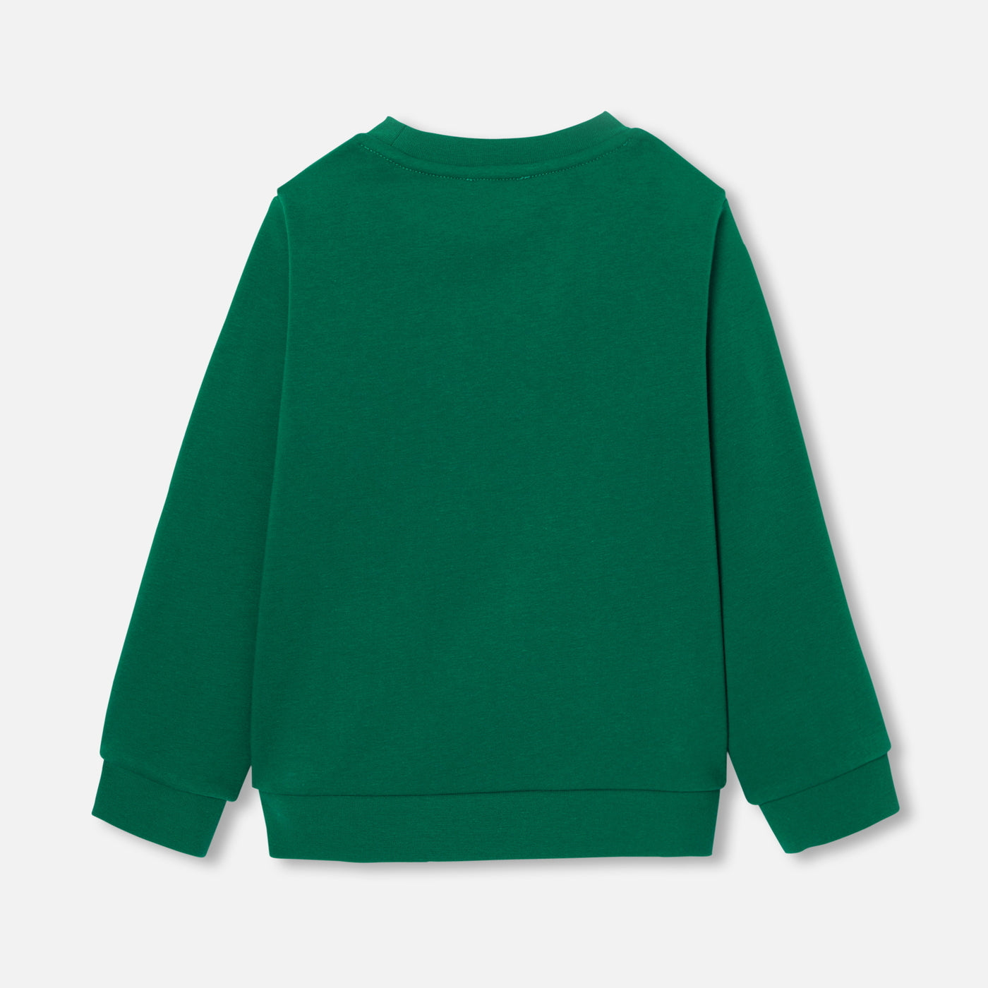 Boy sweatshirt
