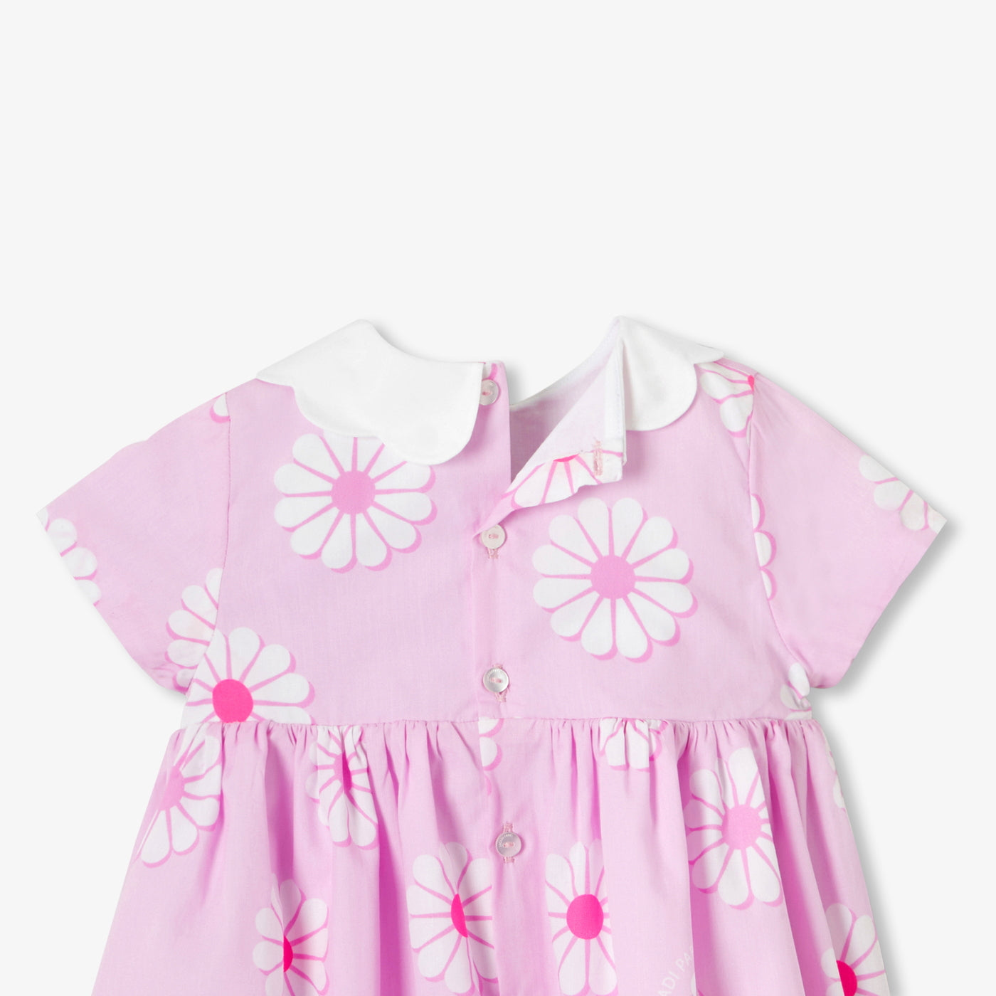 Baby girl cotton dress with floral pattern - rose/multico